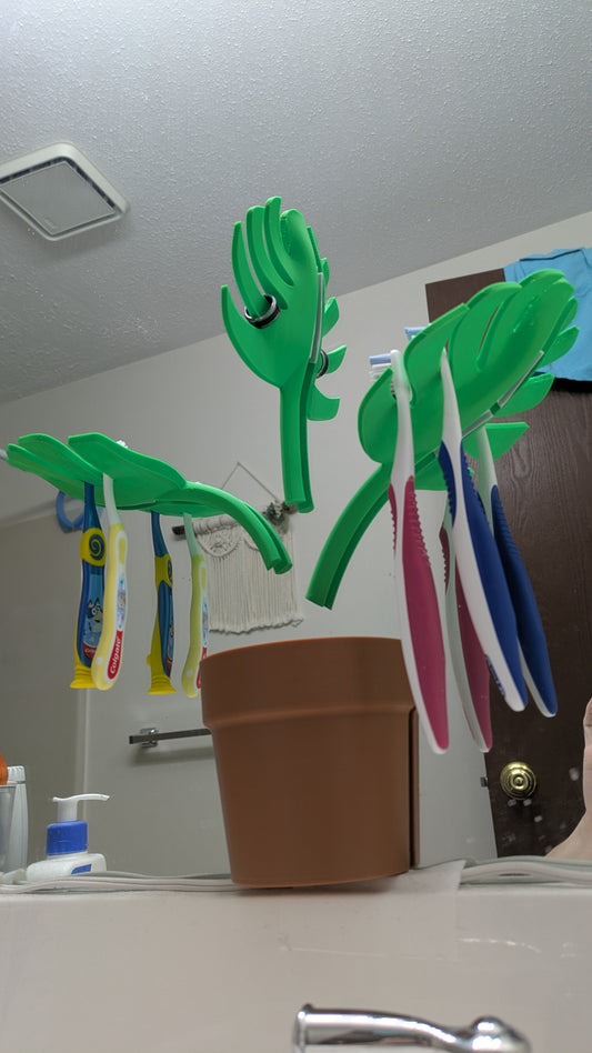 ForgeCore Mirror Monstera